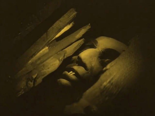 À travers les planches du couvercle, le faciès grimaçant de Nosferatu endormi reste toujours aussi effrayant